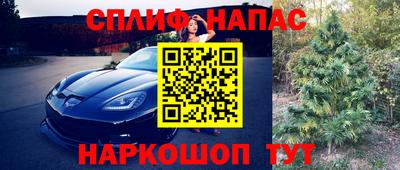 спайс Кимры