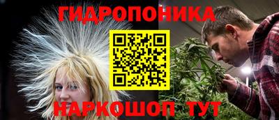 каннабис Кингисепп
